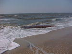 MVC_019F_002.jpg