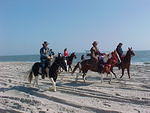 Riding Horses on Asteague Beach