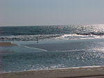 MVC_020F_001.jpg