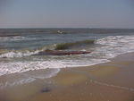 MVC_020F_002.jpg