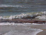 MVC_021F_002.jpg