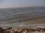 MVC_024F.jpg