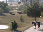 December 2005