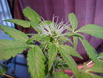 MVC_006F_007.jpg