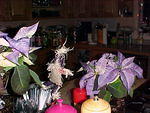Dec. 13th, 2005, Jonithan and Tom Arrive