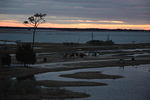 DSC_0096.jpg