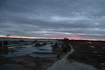 DSC_0098.jpg