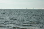 DSC_0105.jpg