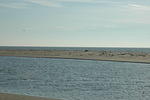 DSC_0106.jpg