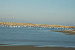 DSC_0111.jpg