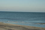 DSC_0112.jpg