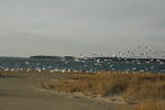 DSC_0113.jpg