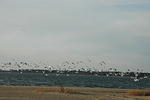 DSC_0114.jpg