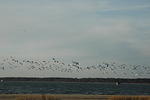 DSC_0115.jpg