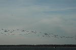 DSC_0116.jpg