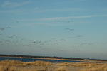 DSC_0119.jpg