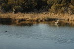 DSC_0124.jpg