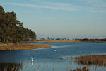 DSC_0127.jpg