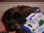 MVC_007F_001.jpg