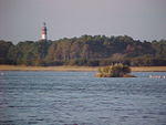 MVC_015F_001.jpg