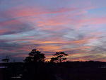 Jan. 20th, 2006
