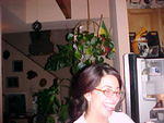 Jan. 8th, 2006