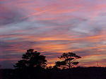 Jan. 20th, 2006