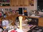 Jan. 8th, 2006