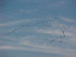 Jan. 19th, 2006