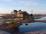 Jan. 19th, 2006