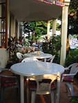 The terrace has on many flowers these days, a bit of thinning & pruning is in order I think