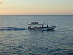 Coco LaPalm Glass Bottom Boat