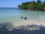 FISHING DOGS