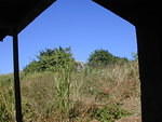 Looking at Elliot plot with J and D house in background
