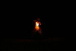 Fire Eater 5