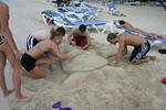 Making a sand turtle