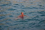 Michelle swiming