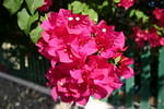 Very pretty Pic.#2