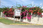 Wesender Inn flowers #5