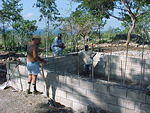 Water Tank 16x16