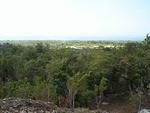 More Views