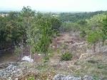 Cleared Valley