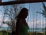 Mi Yard 2006
