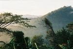 Fog_on_di_mountain.jpg
