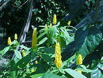 Abeokuta Feb. 22nd, 2006