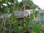 MVC_001F_028.jpg
