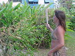 Mi Yard, Sat. Feb. 25th, 2006