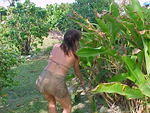 Mi Yard, Sat. Feb. 25th, 2006