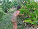 Mi Yard, Sat. Feb. 25th, 2006