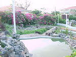 MVC_006F_018.jpg